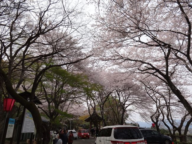 何度も通り抜けたい気分です。
