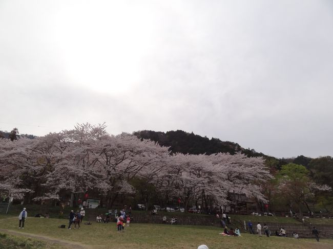 また来年会いましょう〜。さようなら〜。