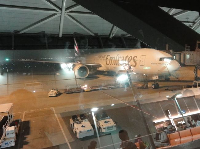 フライトは２３：４０発のエミレーツEK0317<br /><br />ドバイまで１０時間３０分のフライト<br /><br />夜行飛行機なのでひたすら寝ます