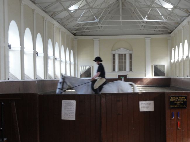 お馬さんの練習中