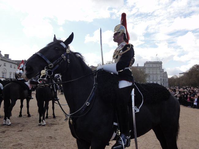 恐らくアラブ産のお馬さんは大きい
