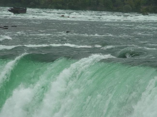 本当に近くで見ることができます。<br />