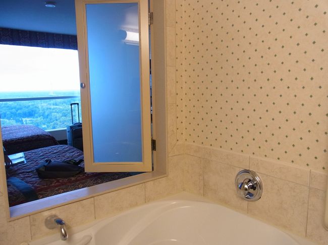 バスルームにはびっくり窓が♪<br />滝を見ながらお風呂にという趣向かな？<br />