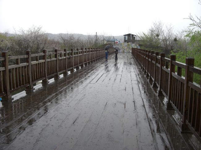 2日目はあいにくの雨。<br />今回の最大の目的である『第3トンネルと板門店ツアー』に参加。<br />コネストで予約￥7900。<br />写真は『自由の橋』<br />1953年の停戦協定後捕虜がこの橋を渡り、自由の身になった事が名前の由来