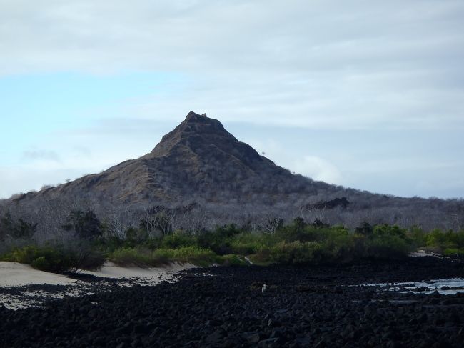 これが「ドラゴンヒル」と呼ばれる小高い丘。<br />裾野一帯が陸イグアナの保護区になっているそうです。