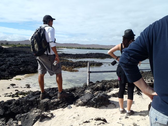 ガイドのお兄さん（本当はおじさん）が、別の場所でフラミンゴを探そうと言っています。