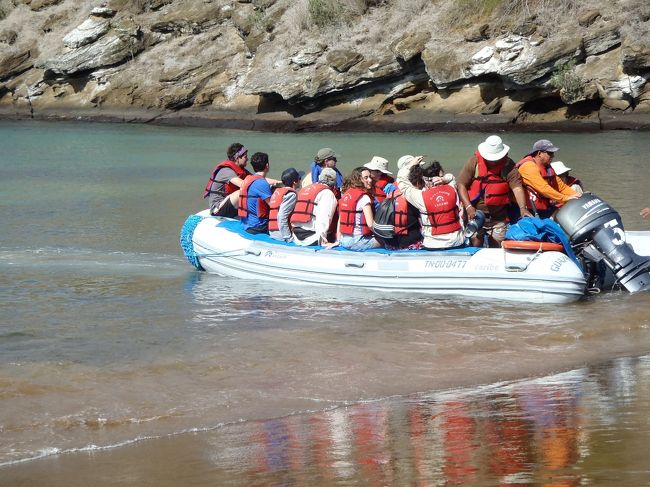 午後はフロレアナ島に上陸します。<br />はじめてのウェットランディング。<br />海の中に入って歩きながら上陸するので、素足にサンダル（脱げにくいもの）が基本です。