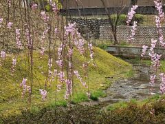 金沢城の内堀だった『西内惣構掘（にしうちそうがまえぼり）』
今も水の流れが絶えません…。

それにしても、ここ浅野川まで内堀が続いていたなんて…
さすがは、加賀百万石前田藩のお城です。。。