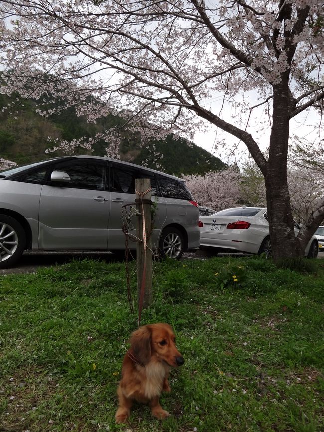 あたし可愛いかしら？？もー超かわいいて。