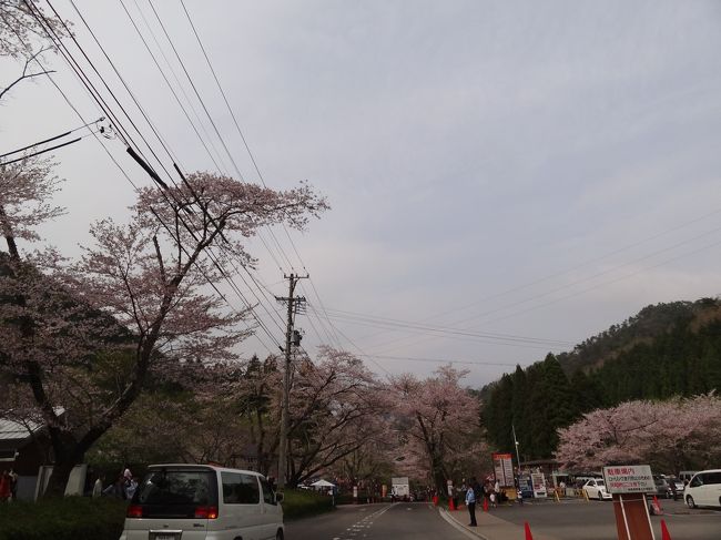 ２人はバスで帰りました。別にラブラブしてなかったし、単なる同僚同士の花見、、という風に見えなくもない。つまらん（笑）<br /><br /><br />でも、お互い既婚者。やっぱり怪しいよね〜。＾０＾