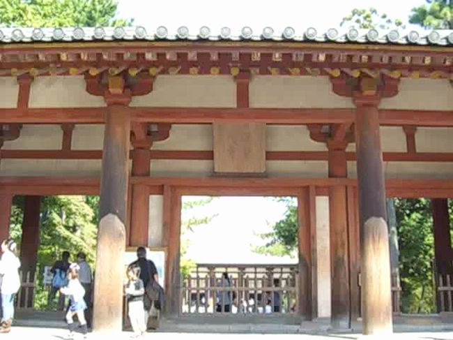 旅行4日目。最終日です。<br />本日最初の目的地は唐招提寺。<br /><br />JR奈良駅の10番乗り場からバスが出ているのでそこからバスに乗り18分で到着です。<br /><br />手持ちのバスMAPに10番乗り場は西口の方にあるような表示の仕方がされていた為、見当違いな西口をずっと探してしまい危うく1本乗り遅れる所でした(T_T)<br />中央口から駅を背に道路を1本渡って左手に少し行った所に10番乗り場はあります。<br />他のバス乗り場から少し離れているので皆様も迷われないように。（迷うのは私くらい？）