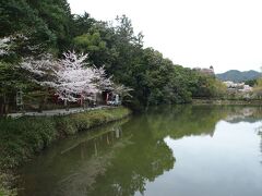 トロッコ嵐山駅を越えたすぐのところにある小倉池のそばには、日本で唯一の「髪」をお護りする「御髪神社」が鎮座しています。

私はまだお詣りする必要はないようなので…先に進むことに。
池沿いの道をまっすぐ北へ歩いてゆきます。