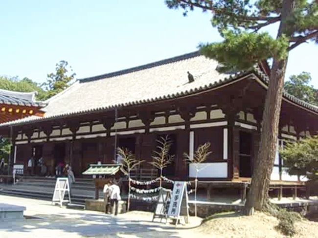 東院堂<br />1285年再建の国宝です。<br />中にはこれまた国宝で東院堂の本尊である「聖観世音菩薩立像」が安置されており靴を脱いで中に入る事ができます。<br /><br /><br />薬師寺は昭和以降に復興した建物が多く、色もまだまだ鮮やかで歴史的な重みは余り感じなかったのですが、これも何百年後かには昭和の大復興として歴史の一部になって行くんだろうな〜、その頃にはこの建物も風格ある物になっているんだろうな〜、と思うと何だかロマンを感じました(^_^)<br /><br /><br />これで奈良の旅はおしまい。<br />次はいよいよ京都の宇治に向かいます！！<br /><br />この続きはこちら<br />宇治編<br />　↓<br />http://4travel.jp/traveler/tsutsuji/album/10691086/