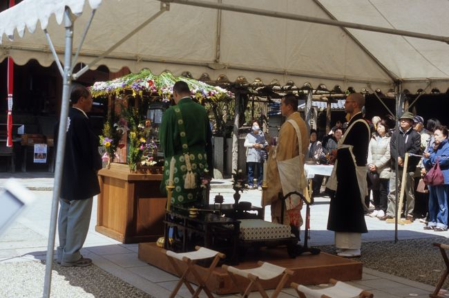 法要が終わると、まずお坊さんたちが水盤の甘茶を小さなお釈迦様の像にかけられ、つづいて一般の参拝者も列に並んで甘茶かけ。<br /><br />釈迦像は、甘茶をたたえた水盤の真ん中に立っておられます。水盤はとりどりの花で飾られた屋根付きの台に置かれていて、何とも華やかでおめでたいムードです。<br /><br />甘茶かけは大人気で、なかなか柄杓を手にすることができませんでしたが、やっと空いた柄杓で私も甘茶をかけました。<br />横で甘茶の接待も行われていましたが、こちらはあまりにも順番待ちの列が長くてあきらめました。