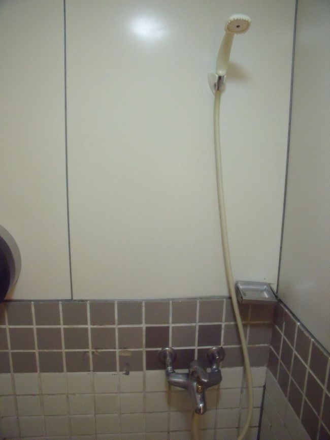 トイレのスペースにシャワーが取り付けてあります。