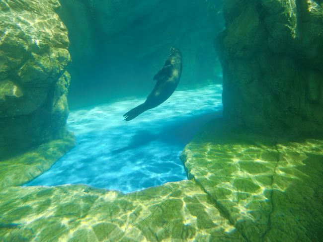 こちらはなんとか・・・<br /><br />