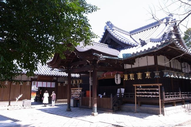 なかなか立派な神社です。本殿は奈良県の指定文化財だそう。<br /><br />別のお客さんに説明しておられた奥さまにご挨拶したら、私にも薬園神社について写真等を見せながら色々説明してくださいました。<br />詳しい内容は忘れてしまいましたが（すいません！！）、とにかく由緒正しく格の高い神社なのです。<br />