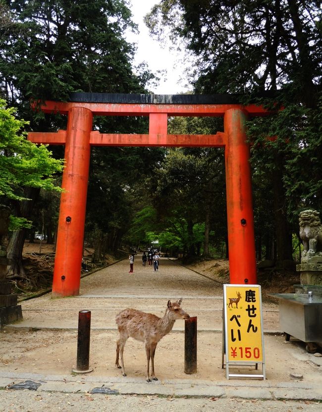 二月堂へ向かう途中に鳥居がある