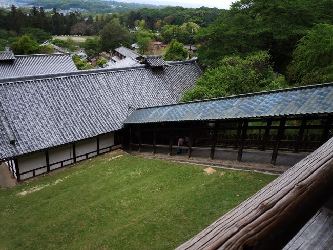 二月堂よりの眺め