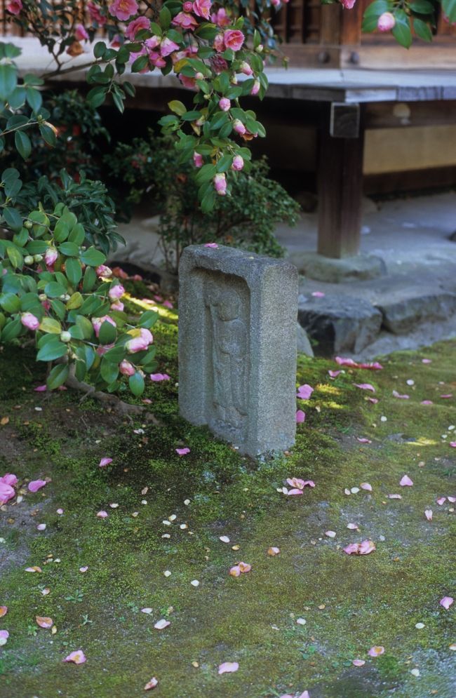 石仏のまわりにも、はらはらと花弁を散らしています。