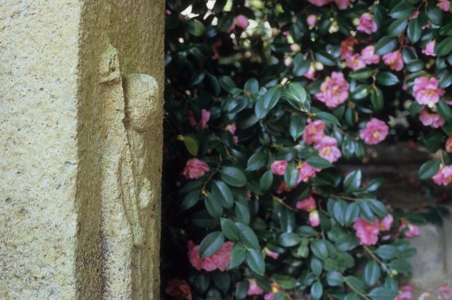 さて、ここらで今回はタイムアップ。<br /><br />今回の旅も、知らなかった奈良にたくさん出会えた良い旅でした。