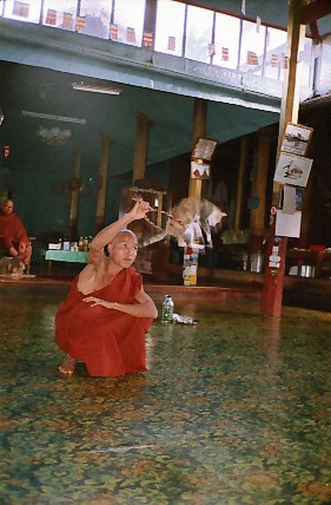 ジャンピング・キャット<br /><br />僧侶が持つ輪っかをジャンプして見事にすり抜ける<br /><br />猫って芸するんだ！<br /><br />やらせてもらったら自分の持つ輪もくぐってくれた♪