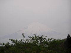富士山

今日は、とにかく暑い


シャトルバスに乗って御殿場駅へ