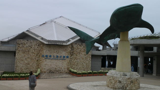 美ら海水族館。