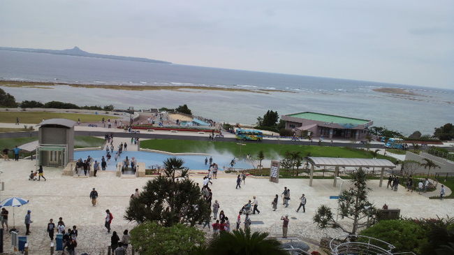 水族館の外は無料で海ガメや、イルカのショーも観られます。