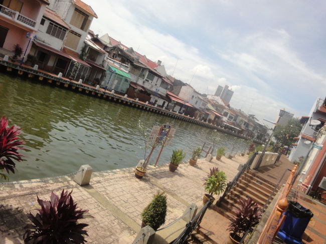 河沿いに移動してきました。