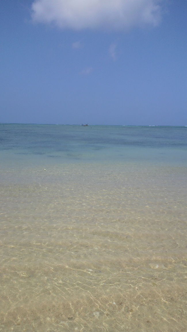 こんなにも美しい海の近くで生活したいな。