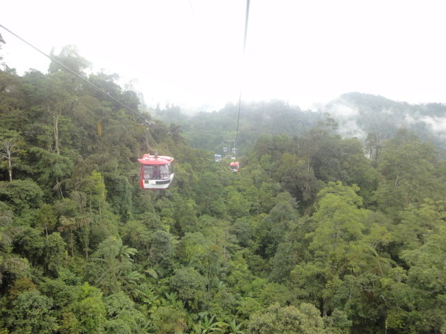 どこを見ても緑の木々。<br />自然いっぱいです！