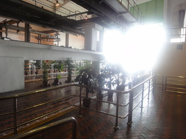 やっと頂上にたどり着きました。