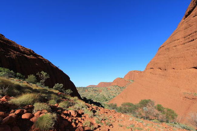 カタ・ジュタ　ＫＡＲＵポイントでの絶景