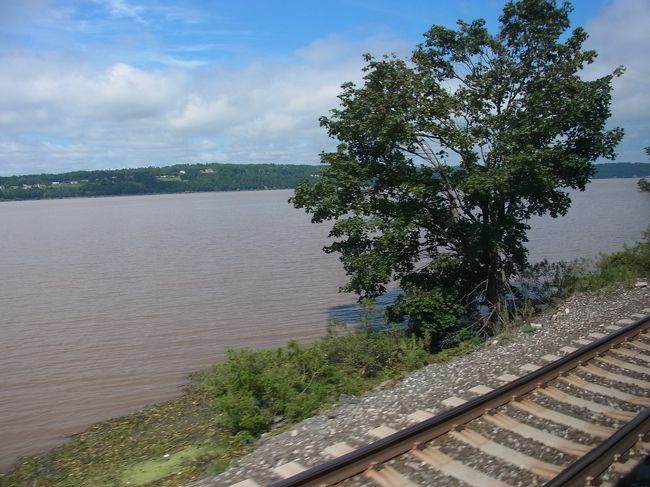 本当に川ぎりぎりに走っています。