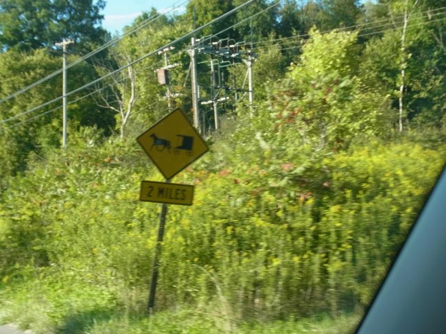 アメリカとカナダの境に近づいてくると、この標識が出てきます。<br />これは、アーミッシュの人たちの馬車が通るから、気を付けてという意味だそうです。私たちも、暗くなってから、見かけましたが、暗い時は特に注意が必要かもしれないですね。<br />