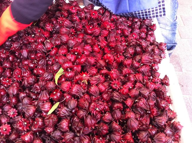 あの、風呂場の虫、、、せんと千尋の、、、。<br />タイで見たのとはチョット違う、これは赤い、でも今にも動きそうでこわい。