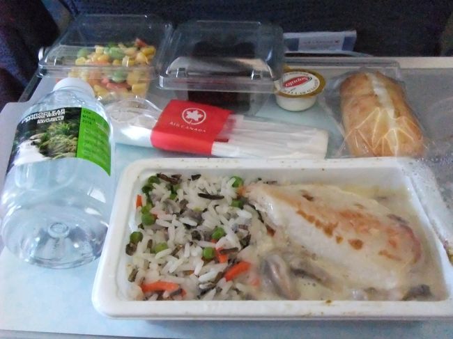 メキシコはちょっと前に地震があったし、先週は山が噴火してたりしたのでちょっとドキドキしながらゲートへ。<br />めっちゃ人少なかったら不安だ。笑<br /><br />実際は日本人も数組いて、ちょっと安心しました。<br />