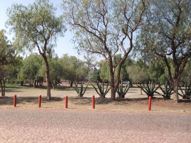 入場料も58ペソに値上がりしてた。。。