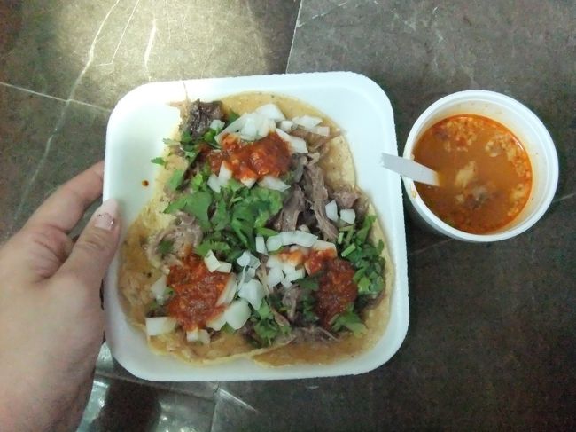 帰りのバスは行きより豪華で、私以外は日本人男性が１人。<br />今日はこれからシティに戻って、午後からメリダへ向かうとか。<br />バスで20時間！でも、中南米のバスって快適だから問題なさそう。<br /><br />北ターミナルに到着後、２人共お腹がすいていたので、タコスを。<br />スープが意外と辛くておいしかった♪（29ペソ）<br />牛肉のタコスでした。