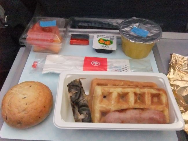 バンクーバー行きは定刻に出発。<br /><br />隣の席は日本人男性で、彼も成田まで帰るらしい。<br />おしゃべりしてたらあっというまにバンクーバーに到着。