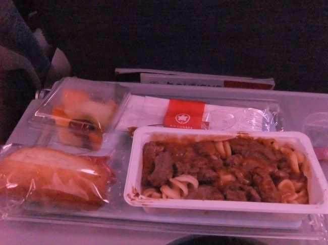 次の機内食までひたすら寝てた。<br /><br />到着２時間前くらいに起こされ、最後の機内食。<br />ACってカップブードルが出るって聞いたことがあるけど、今回はでなかった。トロント便かなぁ？？<br /><br />なにはともあれ無事に成田に到着。
