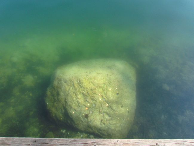 ★ブレッド湖★<br />ふと足元を見ると、大きな岩があって…