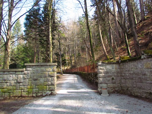 ★ブレッド湖畔の道★<br />何かの敷地みたいな感じだけど、このまま進んでいく。たまに散歩している人がいるけど、時期が時期だからか、あまり奥のほうまで来る人がいないのか、それほど人に会わない。