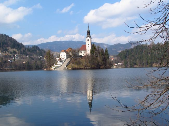 ★ブレッド湖★<br />同じような写真が続いているじゃん、って思うでしょ。違うのよ、角度が。