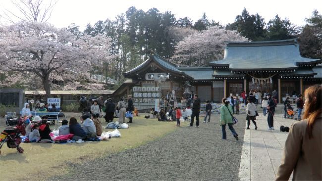 水戸偕楽園の桜と石岡 土浦の桜めぐり 水戸 茨城県 の旅行記 ブログ By まりも母さん フォートラベル 水戸偕楽園の桜と石岡 土浦の桜めぐり 水戸 茨城県 の旅行記 ブログ By まりも母さん フォートラベル