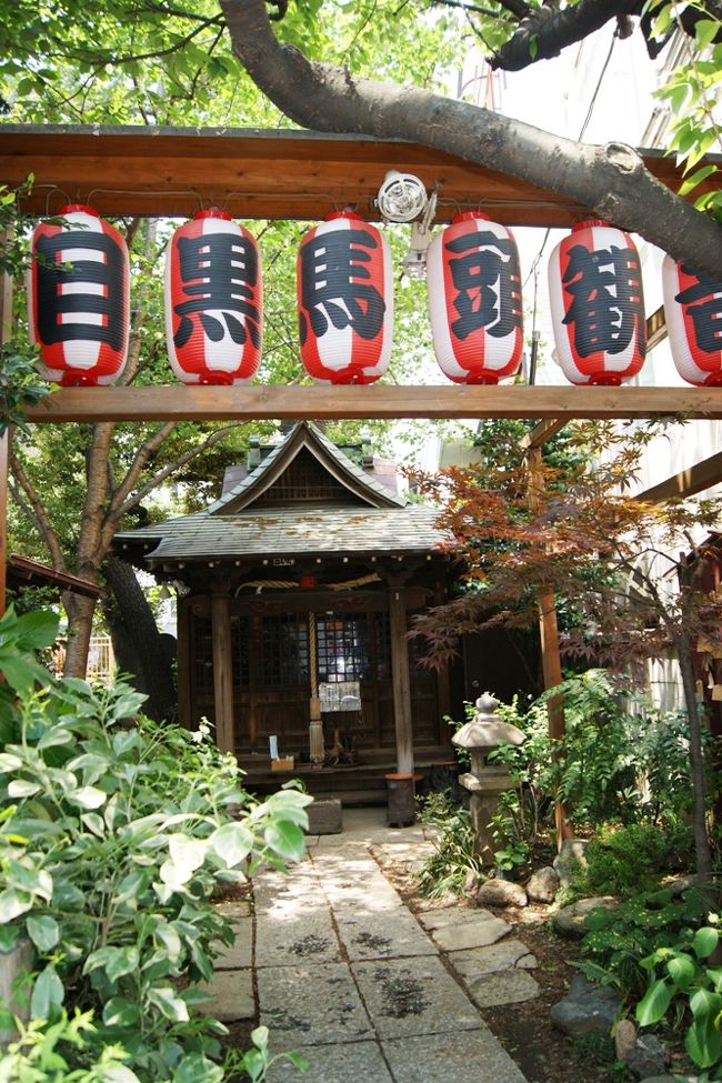 【中古】 新・獣医師の事件簿/青泉社（千代田区）/はざまもり 楽天市場】新 獣医師の事件簿の通販