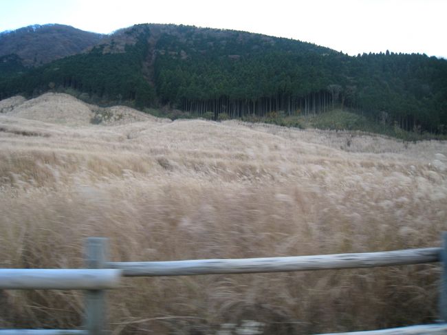 仙石原を通って強羅へ