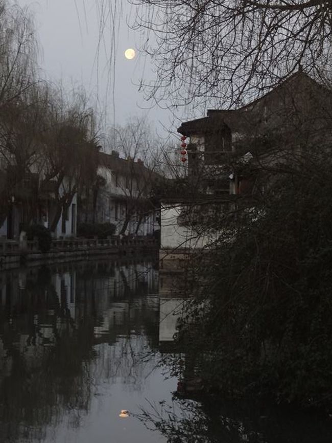 早朝、水面に移った月と