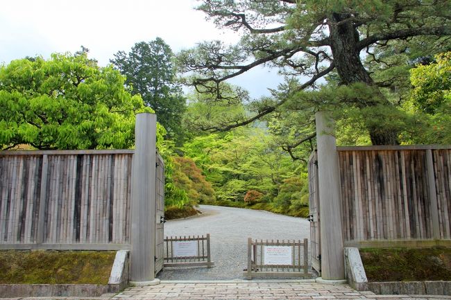 京都の御所と離宮(11) 修学院離宮 美しき新緑に囲まれて』下鴨